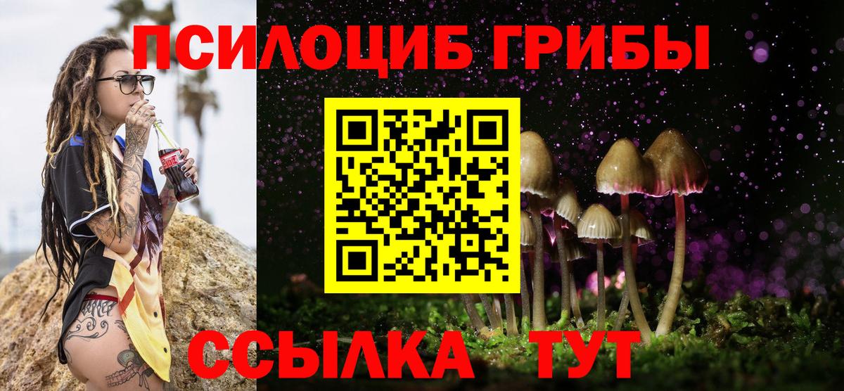 Азнакаево  Псилоцибиновые грибы Cubensis  где найти   Вход с VPN 