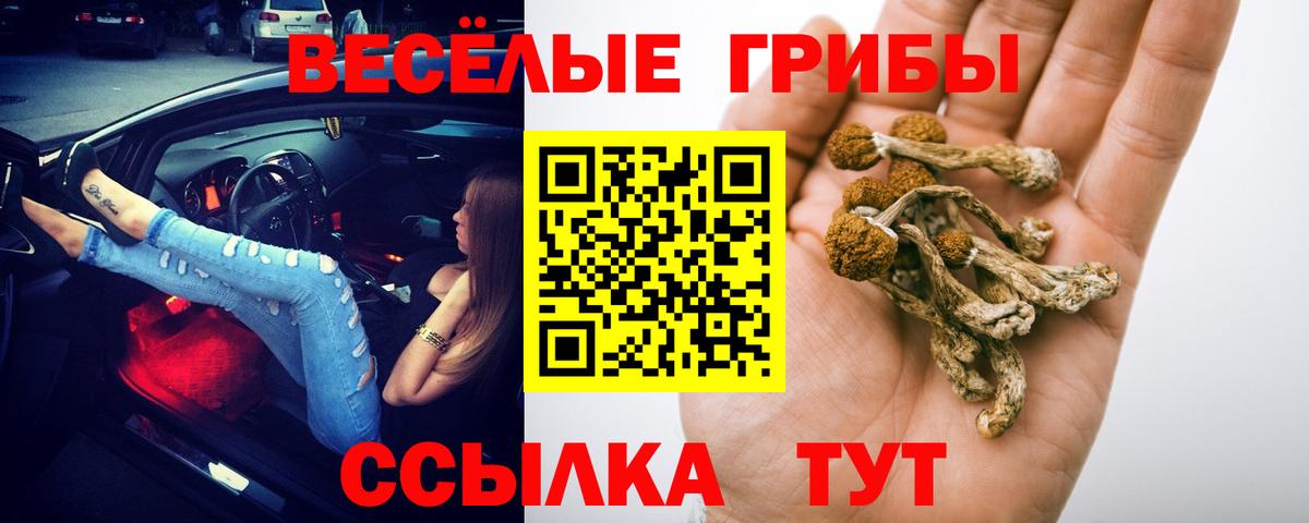 Галлюциногенные грибы прущие грибы Азнакаево